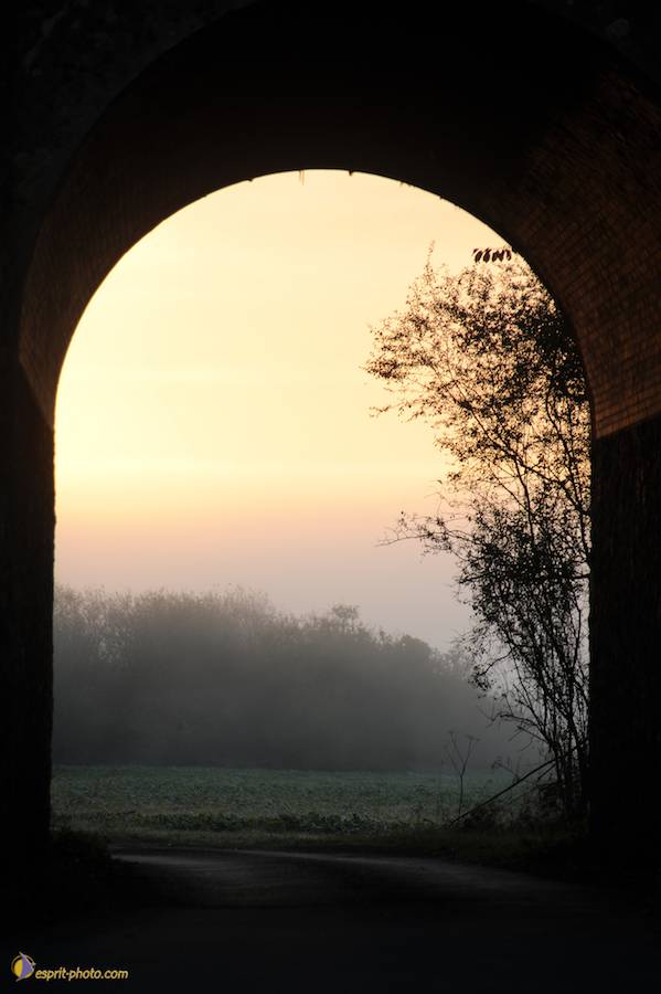 Nom de l'image : D30082663_1_(c)Norbert-JUNG — Description :